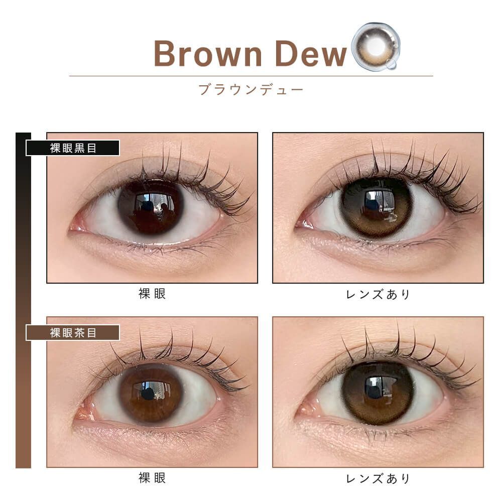 [固定高光] Dewlit 1 Day (Brown Dew) (10P)