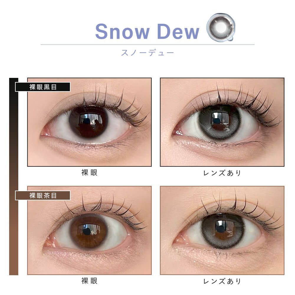 [固定高光] Dewlit 1 Day (Snow Dew) (10P)