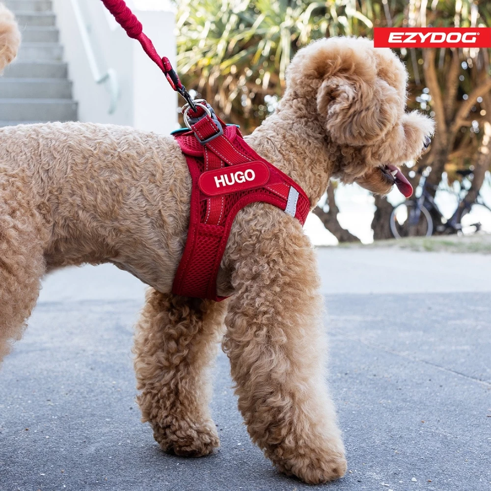 澳洲EzyDog | 動能胸背帶