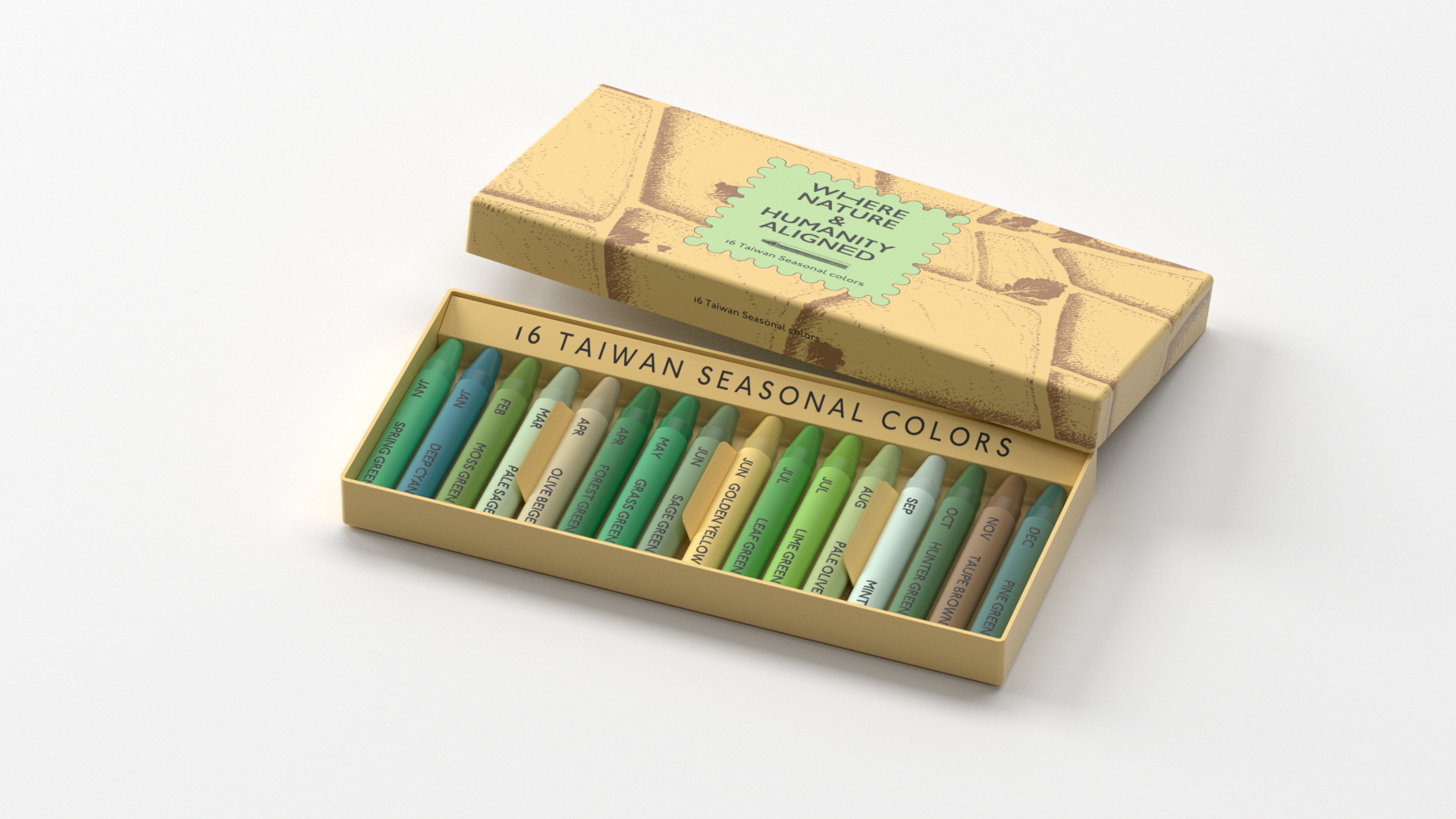 《阡陌之森》 16入 米蠟筆｜台灣林業及自然保育署