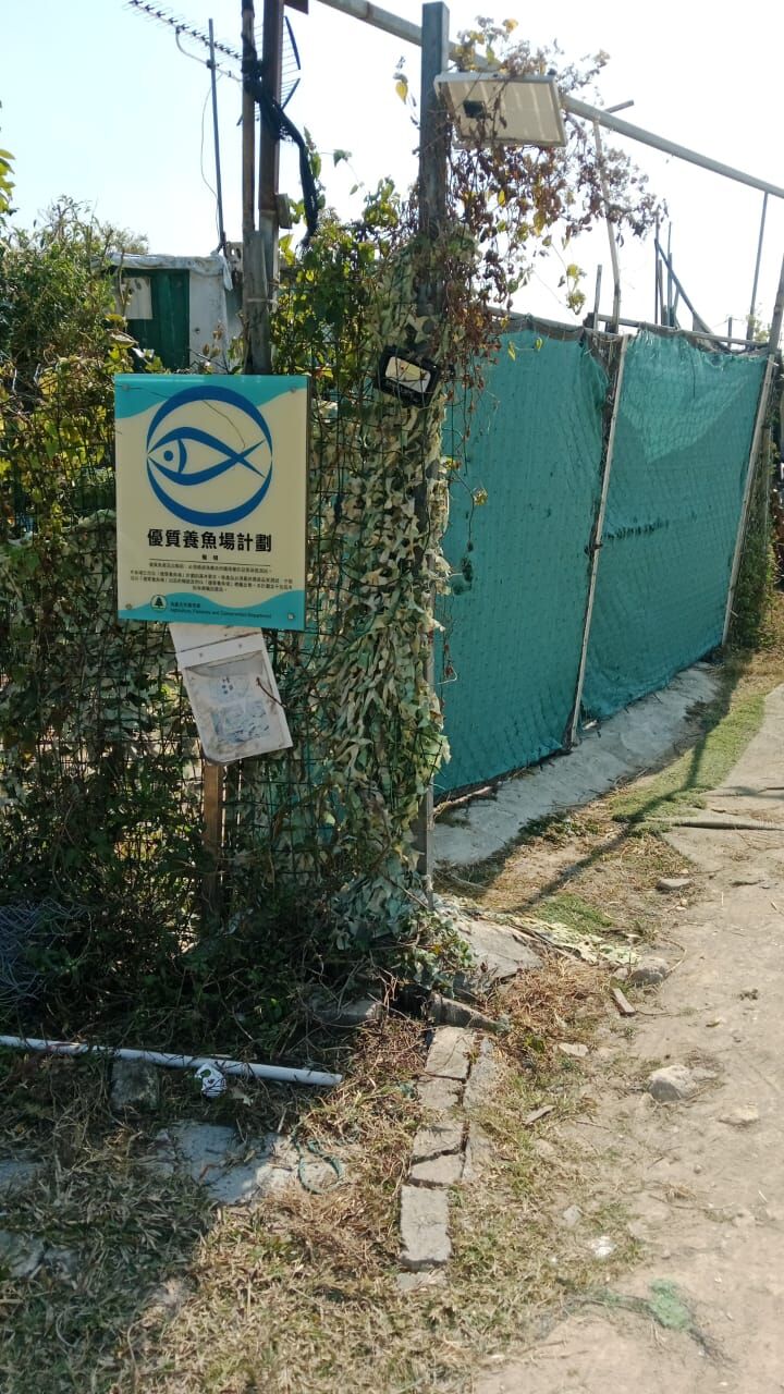 優質養魚場計劃 錦田北養魚場