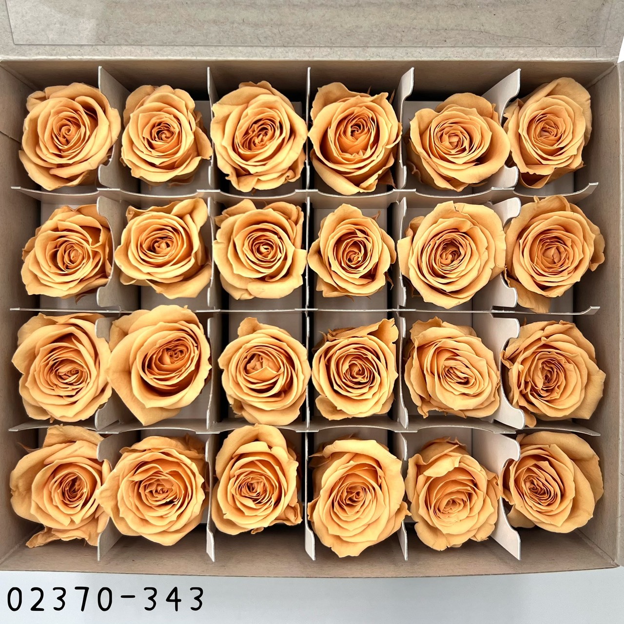 日本不凋迷你玫瑰(24朵) 02370-343