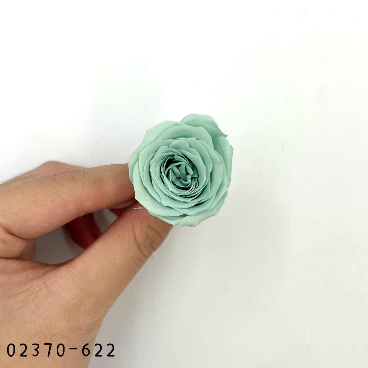 日本不凋迷你玫瑰(24朵) 02370-622