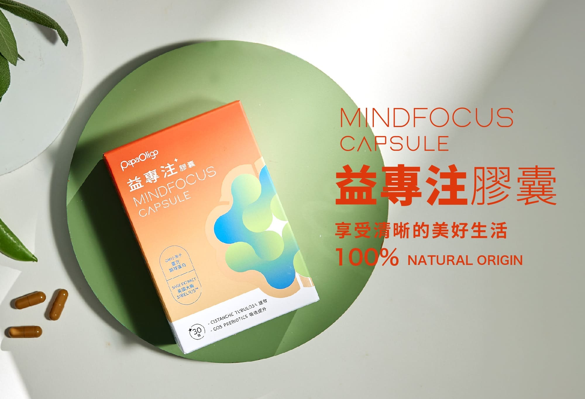 MindFocus capsule益專注膠囊 益專注膠囊凝精聚神的集中模式