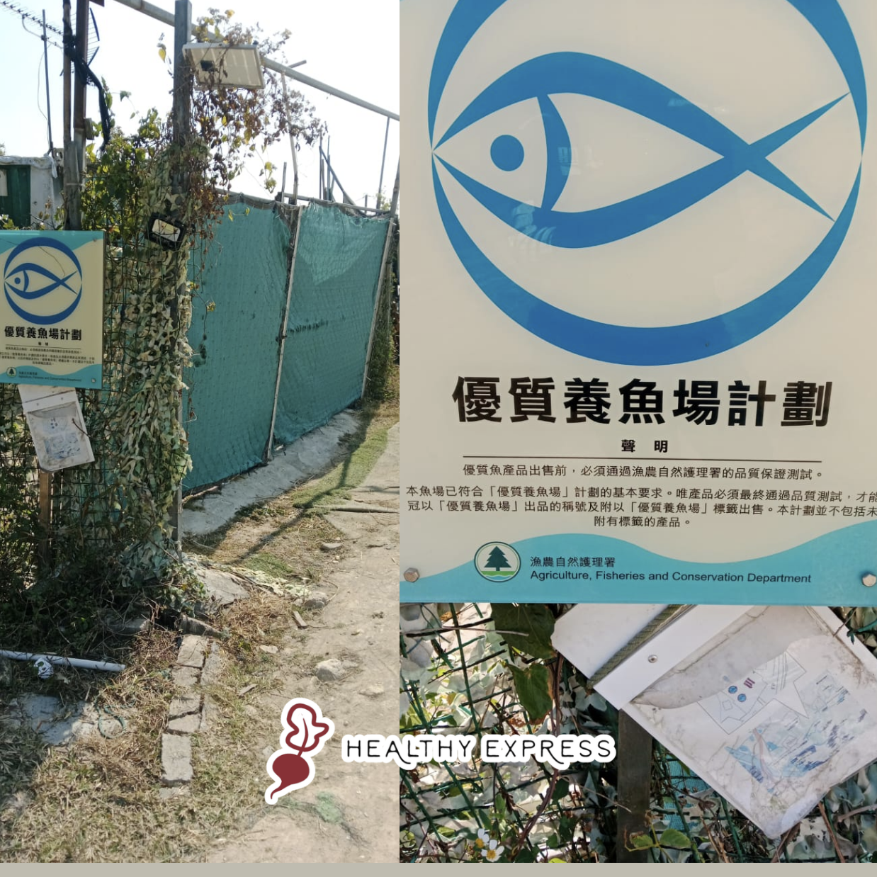 漁農自然護理署優質養魚場計劃- 錦田北養魚場屬於登記養魚場