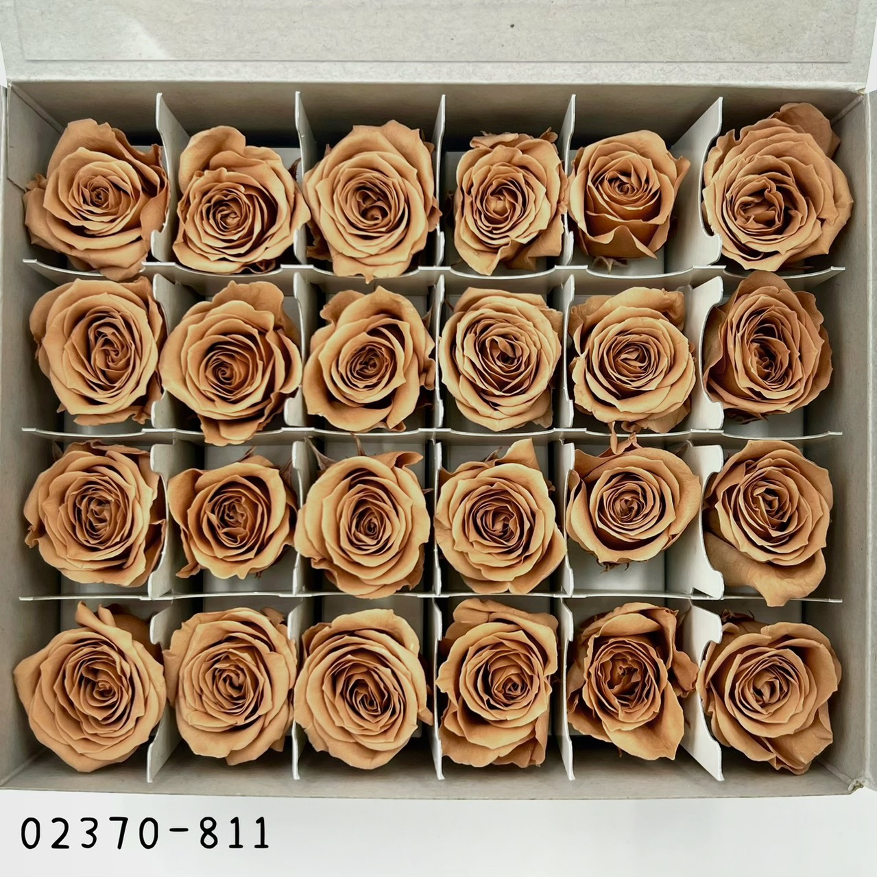 日本不凋迷你玫瑰(24朵) 02370-811