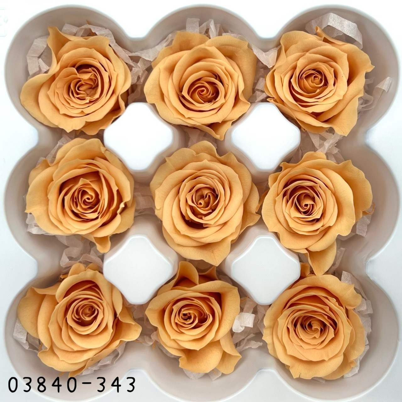 日本不凋小輪玫瑰(9朵) 03840-343