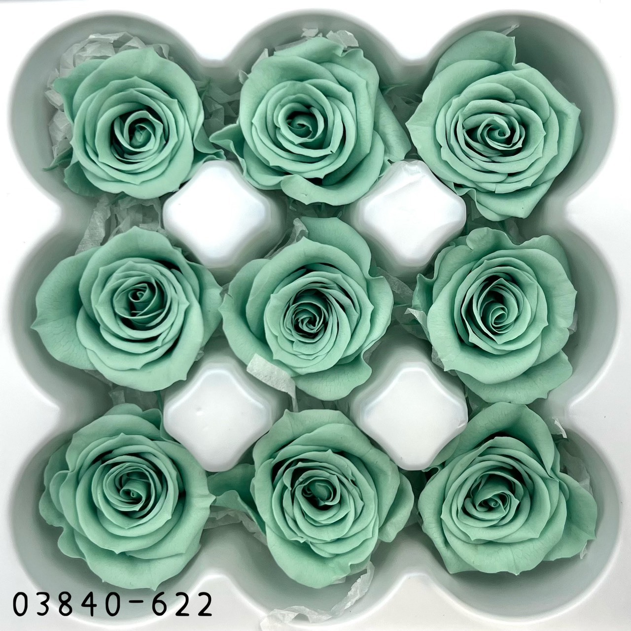 日本不凋小輪玫瑰(9朵) 03840-622