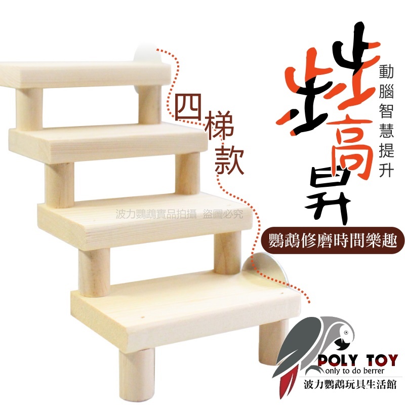 步步高昇 4梯款 樓梯 優質松木製作 鸚鵡玩具 腳下玩具 啃咬玩具 波力鸚鵡玩具生活館