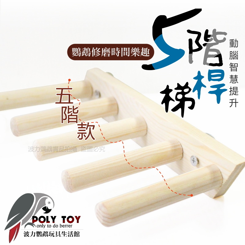 五階桿梯 爬梯 樓梯 優質松木製作 鸚鵡玩具 腳下玩具 啃咬玩具 波力鸚鵡玩具生活館