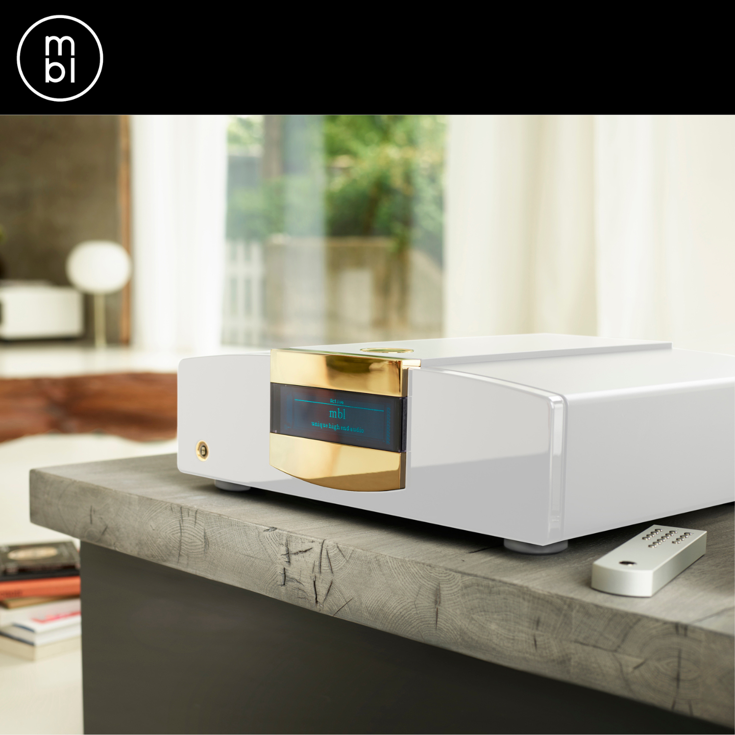 MBL C15 單聲道 後級擴音機