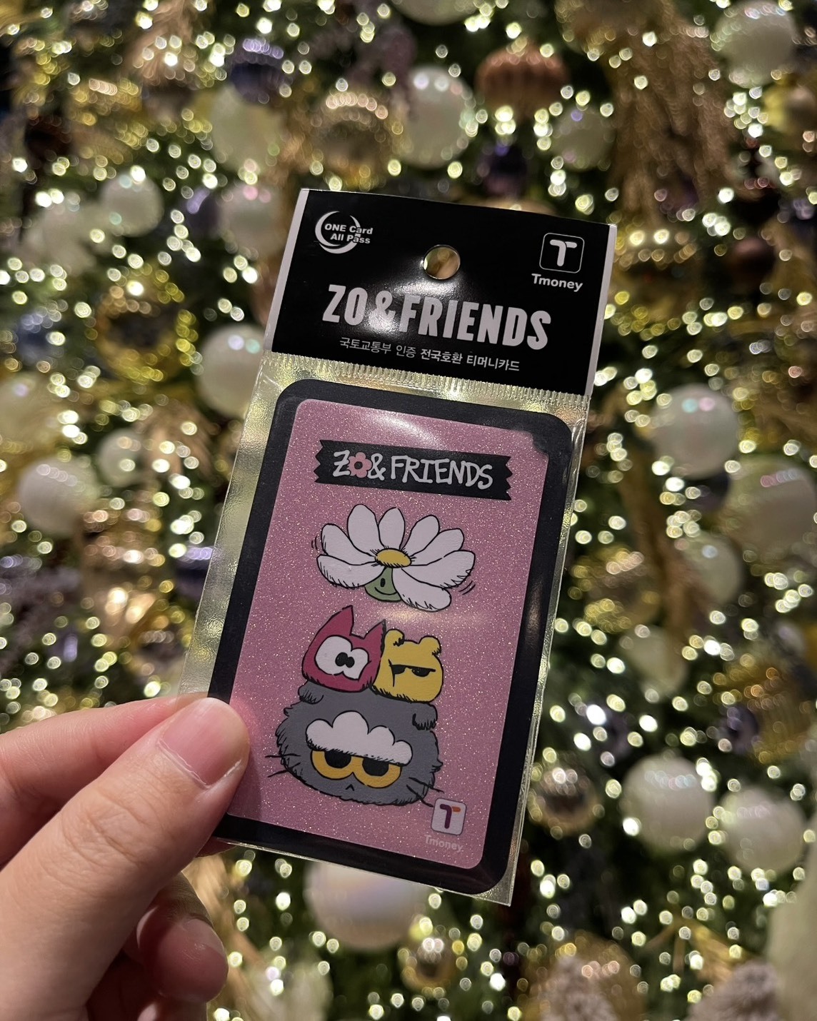 韓國 限定 GD 愛貓 ZOA 聯名 T-MONEY交通卡 3款