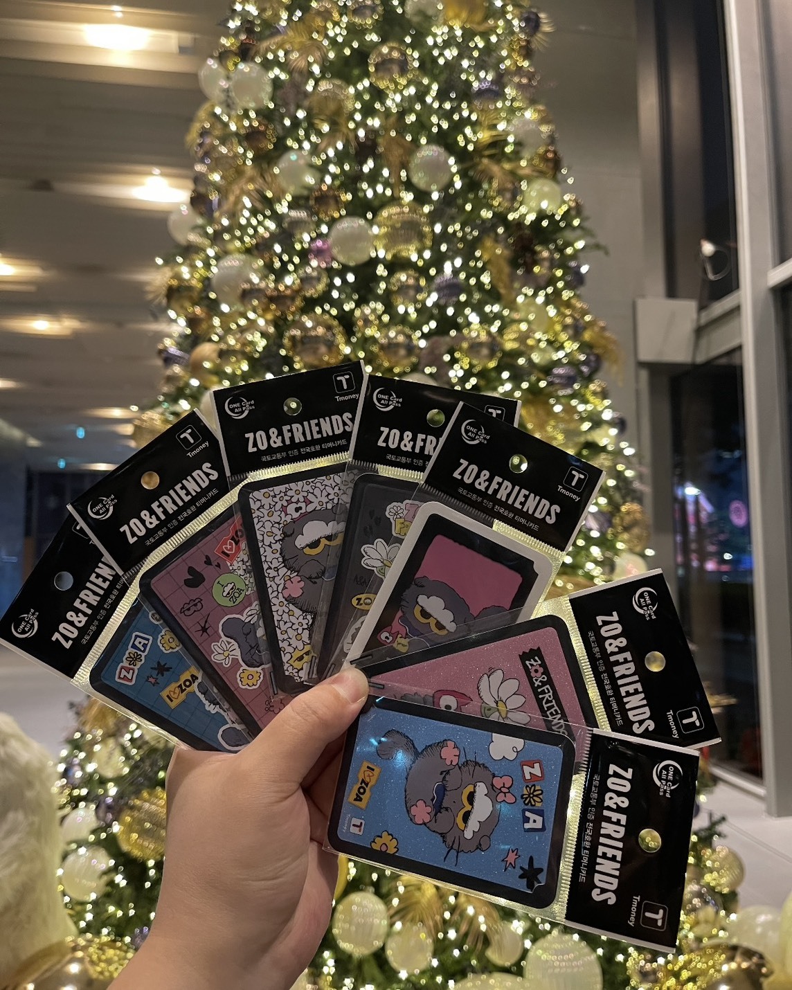 韓國 限定 GD 愛貓 ZOA 聯名 T-MONEY交通卡 3款