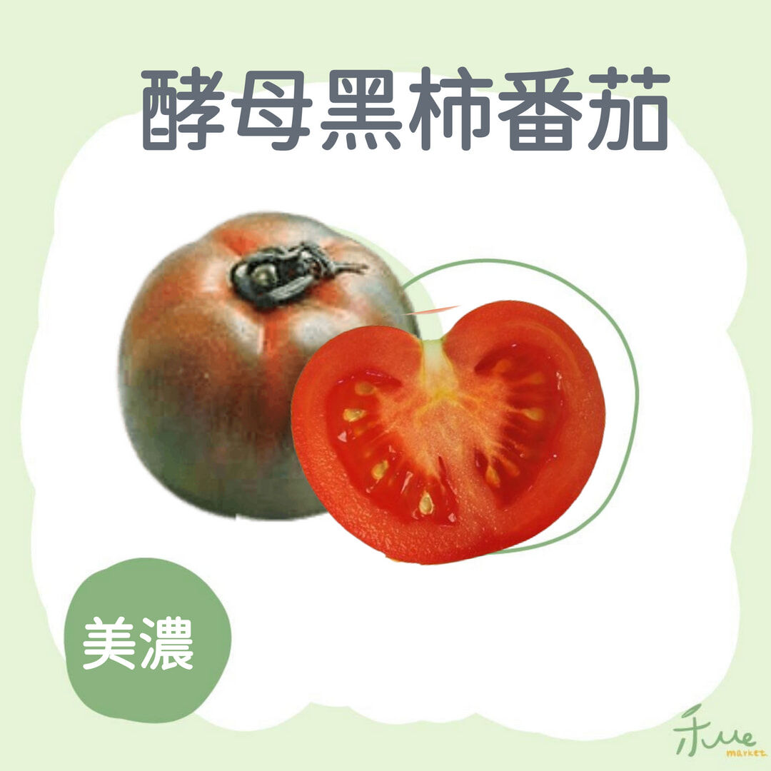 【美濃】酵母黑柿番茄