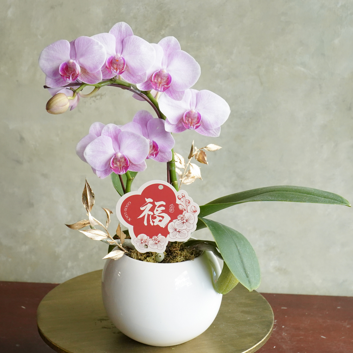 蘭花台北推薦,開幕送蘭花推薦,蘭花外送推薦,台北蘭花開幕推薦