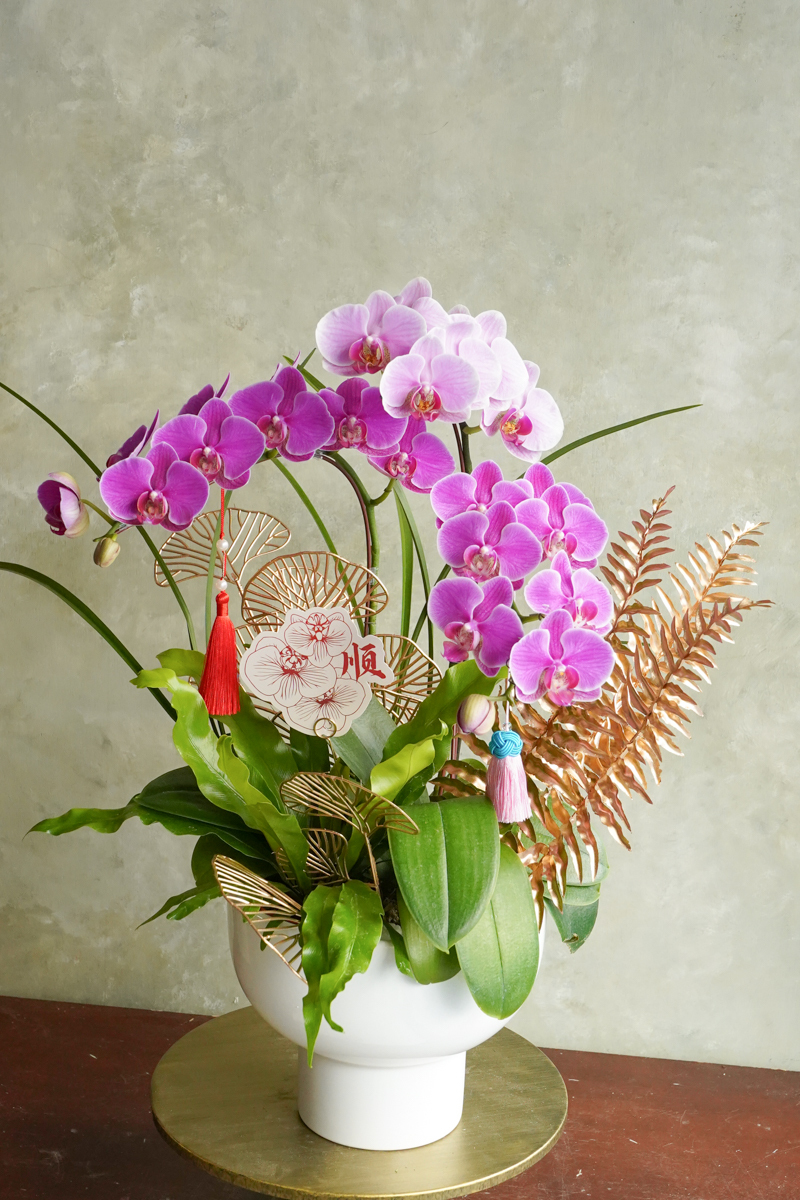 台北蘭花推薦,蘭花外送推薦,蘭花送開幕,開幕蘭花推薦台北,升遷蘭花推薦2