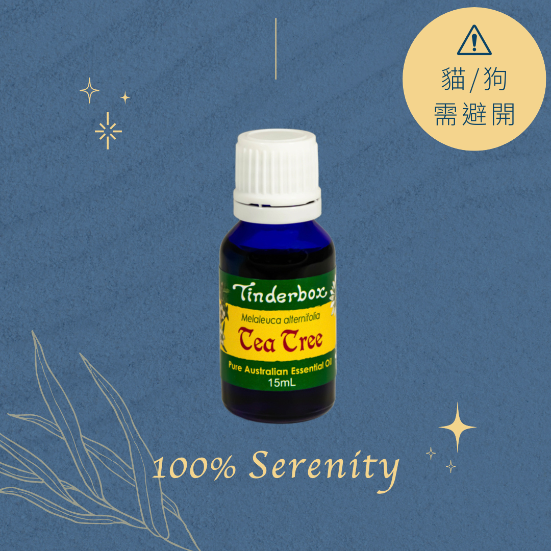 茶樹 | 精油 15ml