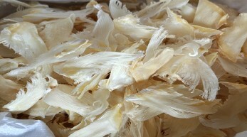 0116ZP43-珍品李家ZP-2-4寸免洗金勾翅150g（A43）