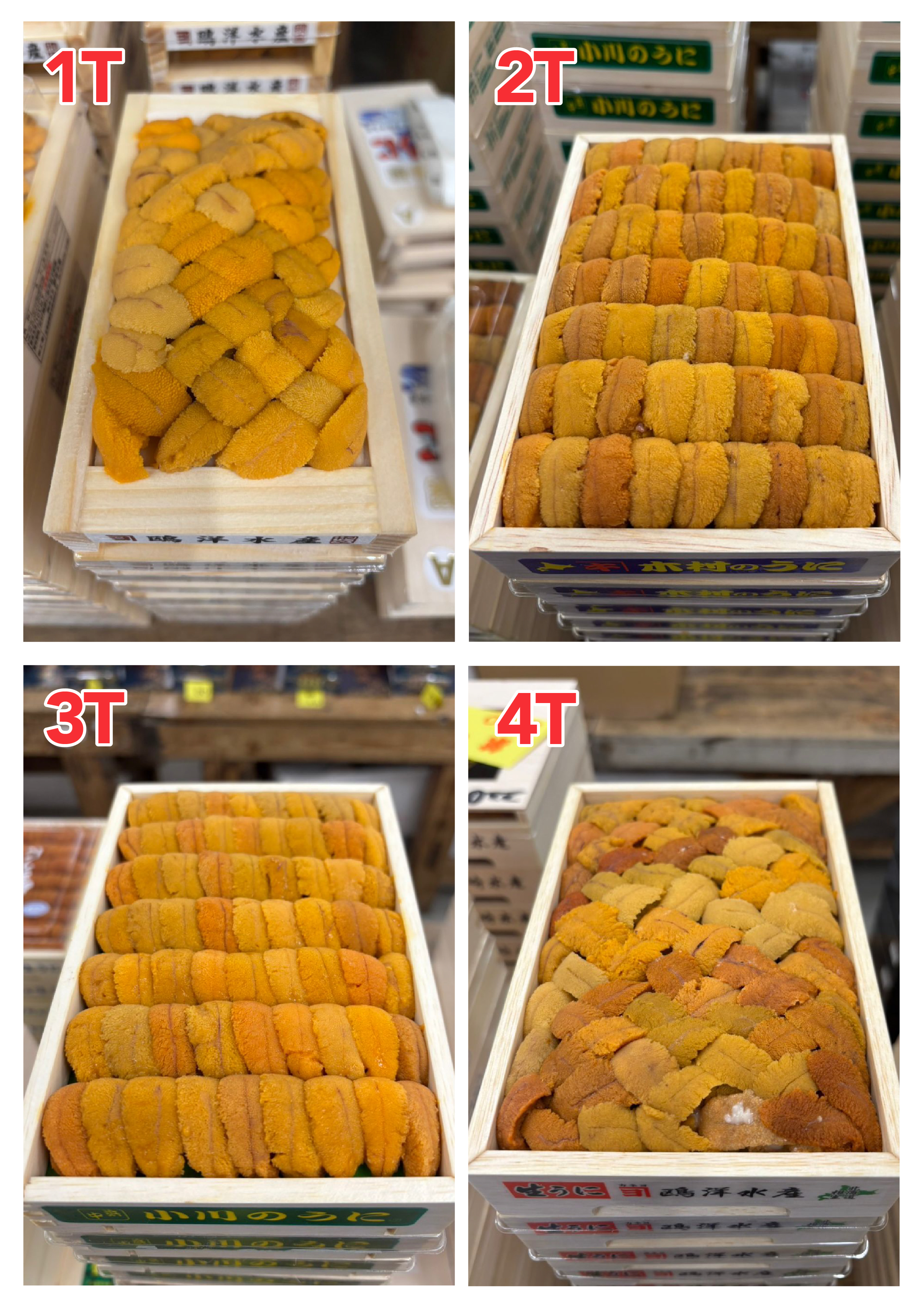 【指定海膽推薦】每天更新 (限即日落單, 翌日送)