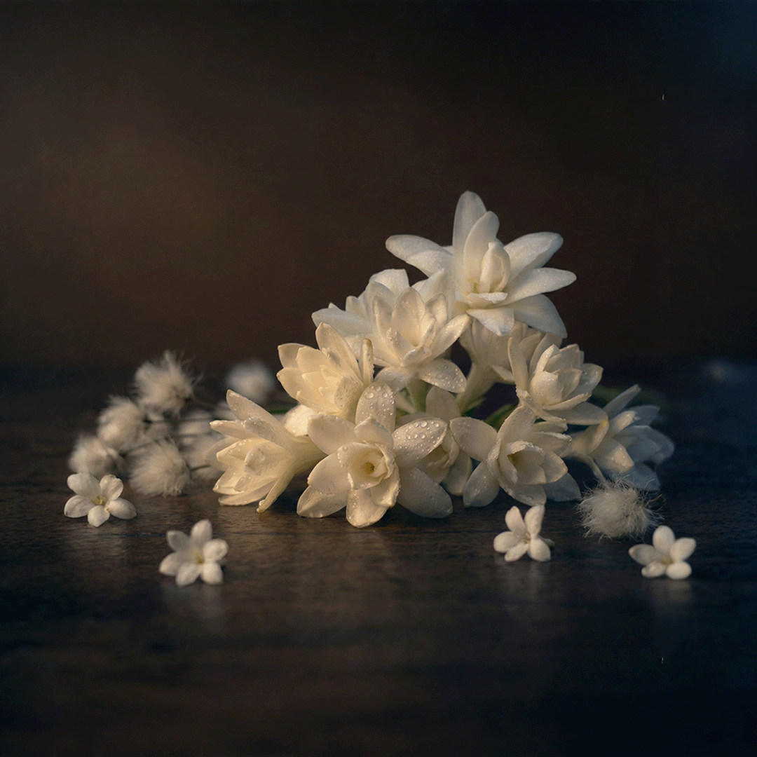 【Moonlit Tuberose｜月夜晚香玉】 WOODY and FLORAL  香氣結構（Fragrance Structure）: 前調｜清透的白花與果實氣息 粉紅莓、橙花  中調｜白花核心的柔軟展開 晚香玉、茉莉   後調｜貼膚而穩定的餘韻 麝香