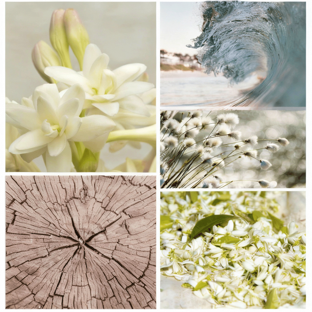 MOONLIGHT 月夜晚香玉 【Moonlit Tuberose｜月夜晚香玉】 WOODY and FLORAL  香氣結構（Fragrance Structure）: 前調｜清透的白花與果實氣息 粉紅莓、橙花  中調｜白花核心的柔軟展開 晚香玉、茉莉   後調｜貼膚而穩定的餘韻 麝香