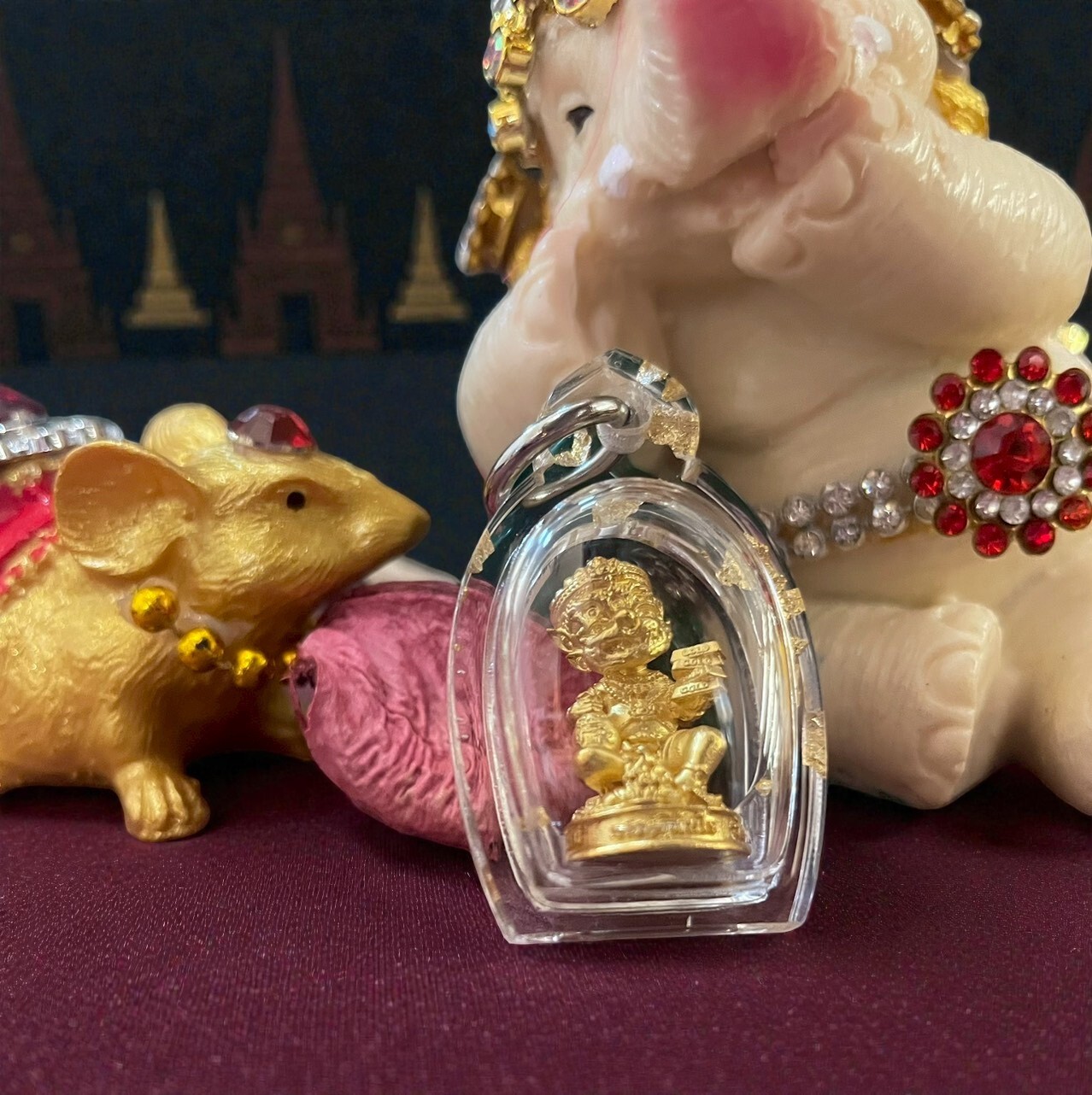 古巴帕塔亞諾 五眼四耳(小)