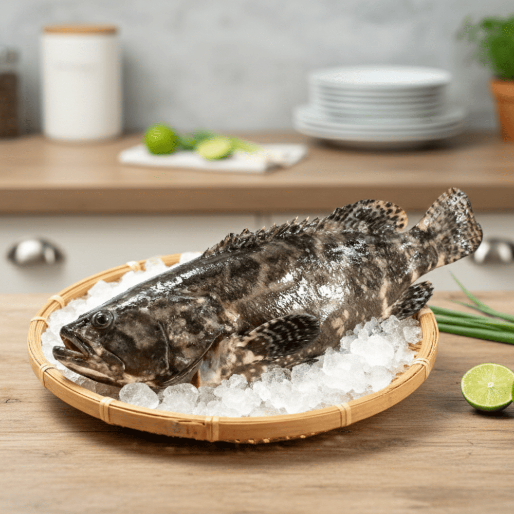 【上億嚴選】台灣龍虎斑魚500g/包