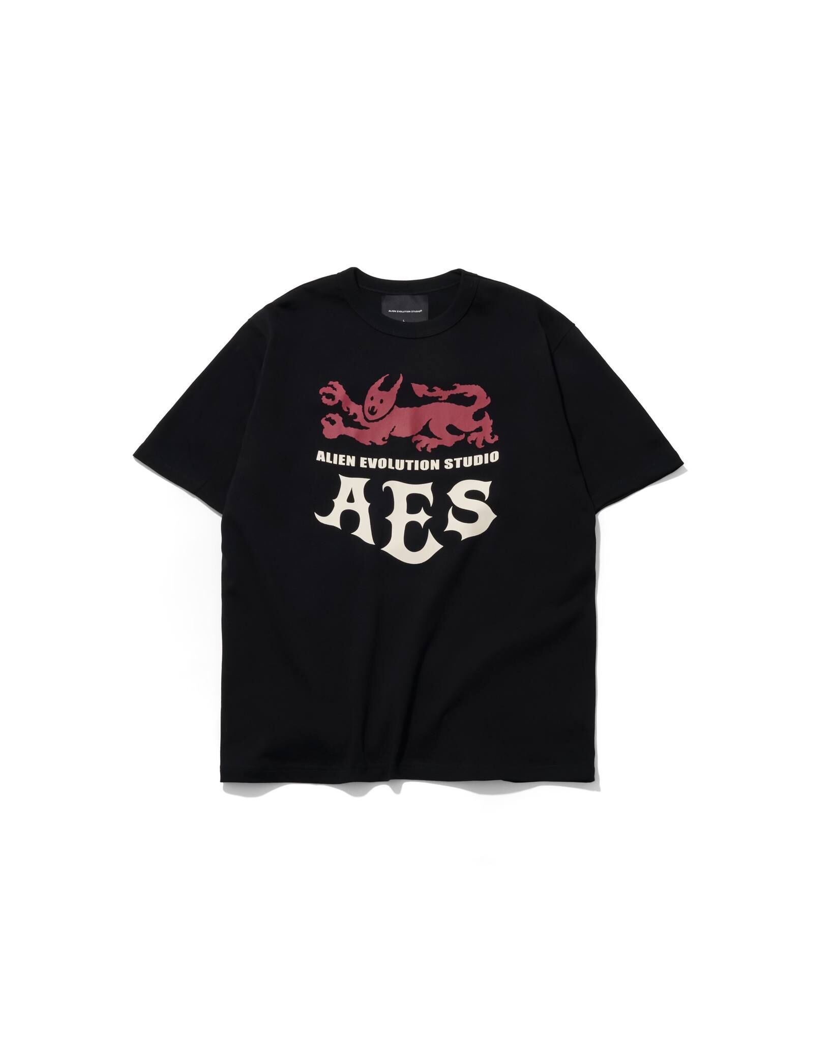 AES BEASTS OF MEDIEVAL FANTASY TEE