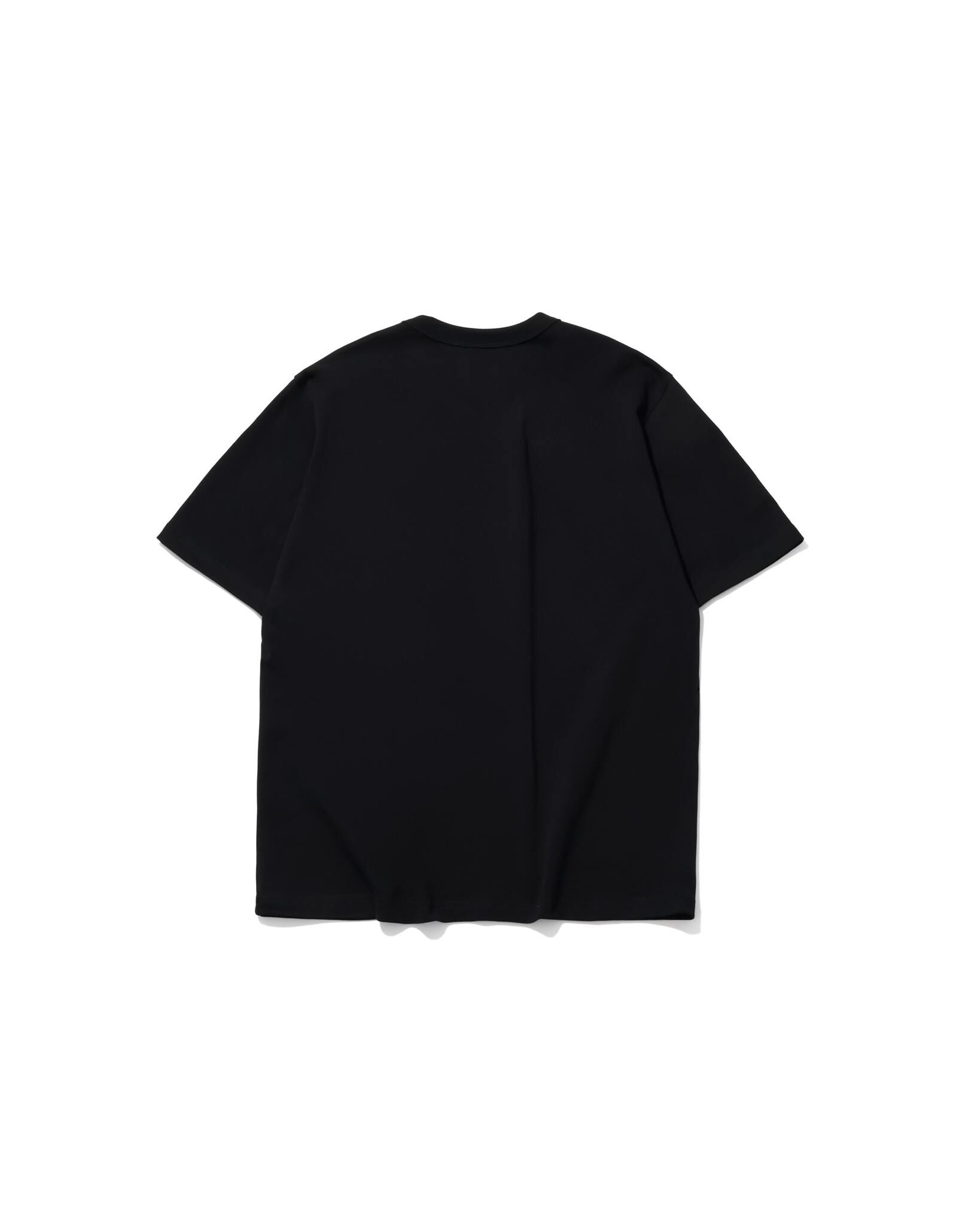 AES BEASTS OF MEDIEVAL FANTASY TEE