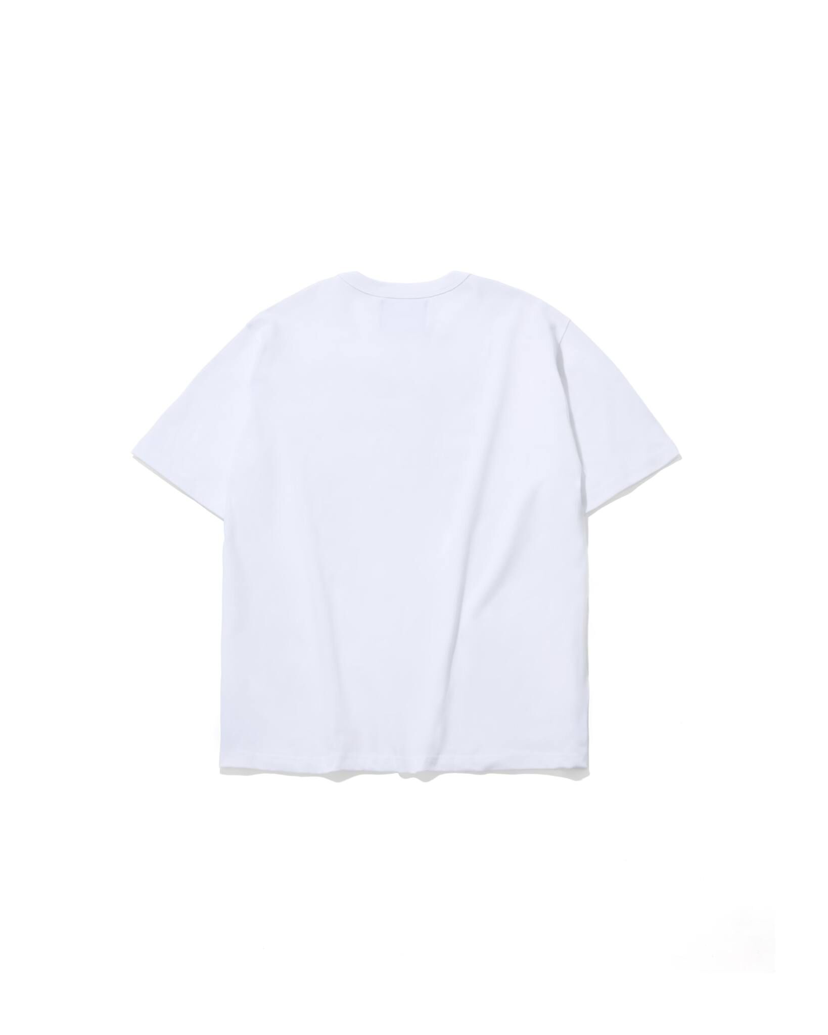 AES BEASTS OF MEDIEVAL FANTASY TEE