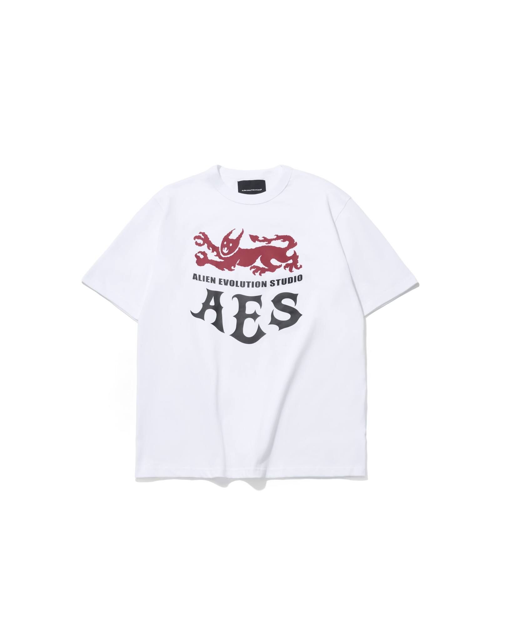 AES BEASTS OF MEDIEVAL FANTASY TEE