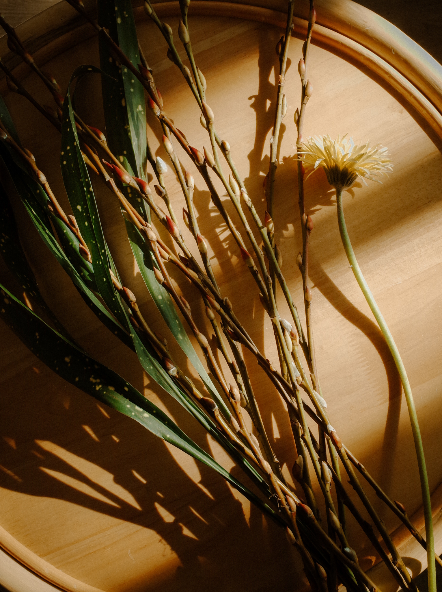 光影中銀柳和各式花材搭配出柔和氛圍