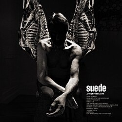 Suede《Antidepressants》（CD）