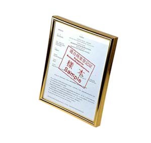 SM-BR  FRAME HOLDER for B.R. - GOLD 503323980