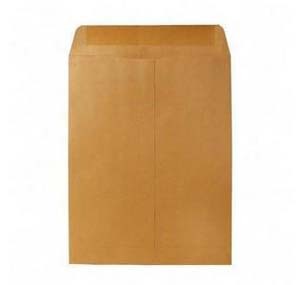 NO STRING BROWN ENVELOPE  9" x 12" 503650920