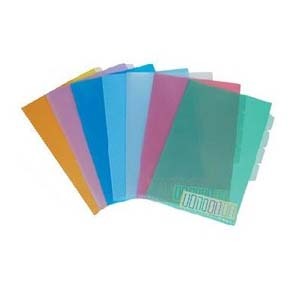 E-356  4-TABS   PLASTIC FOLDER A4 - CLEAR 504356890