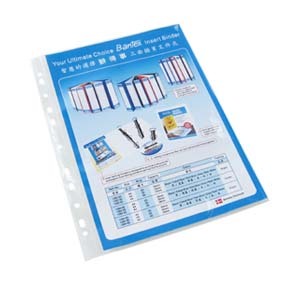 辦得事 2012 A4 特厚文件保護套 (100 個裝) 504922120