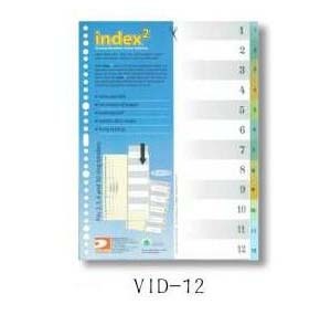 DATA BANK  VID-12  A4 膠質分類索引 ( 1-12 ) 505095512