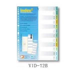 DATA BANK  VID-12B  A4 膠質分類索引 ( Jan-Dec ) 505095570
