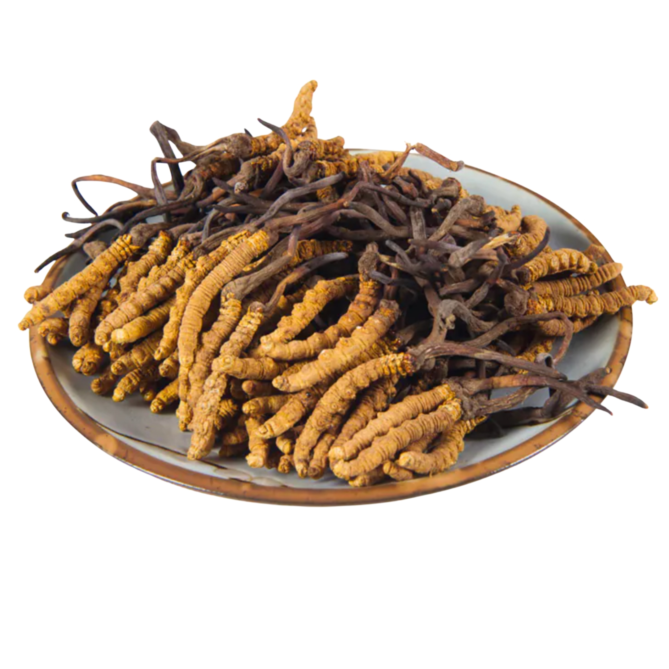 Nakchu Cordyceps (140-160 pcs) (1 tael)