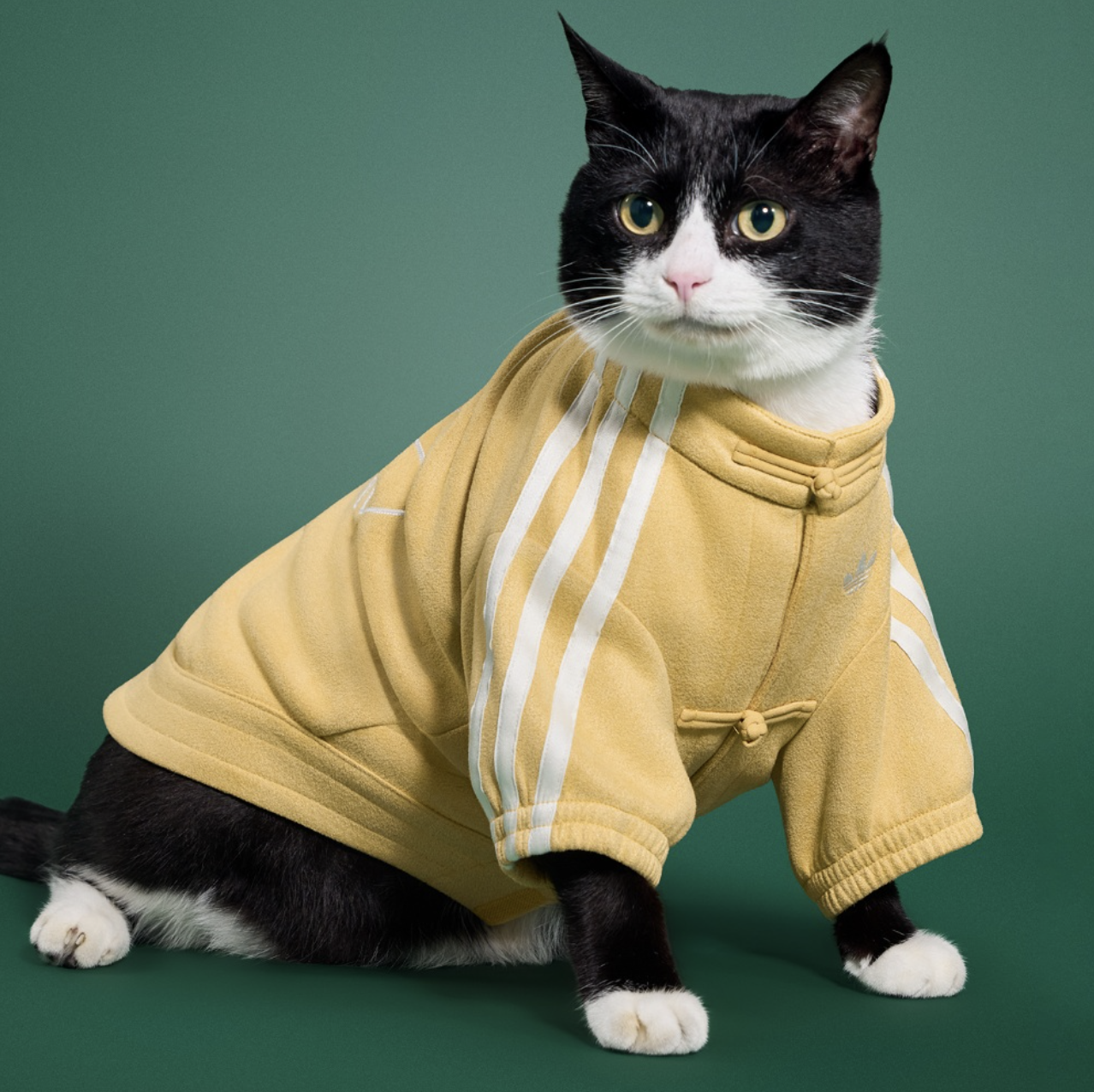 預訂 | Adidas Originals Pet Soft Track Top 寵物 唐裝外套 黃色