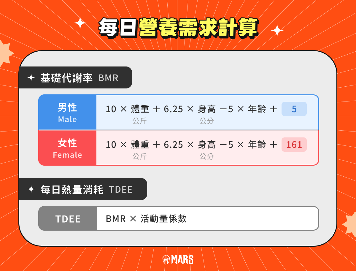 每日營養需求計算