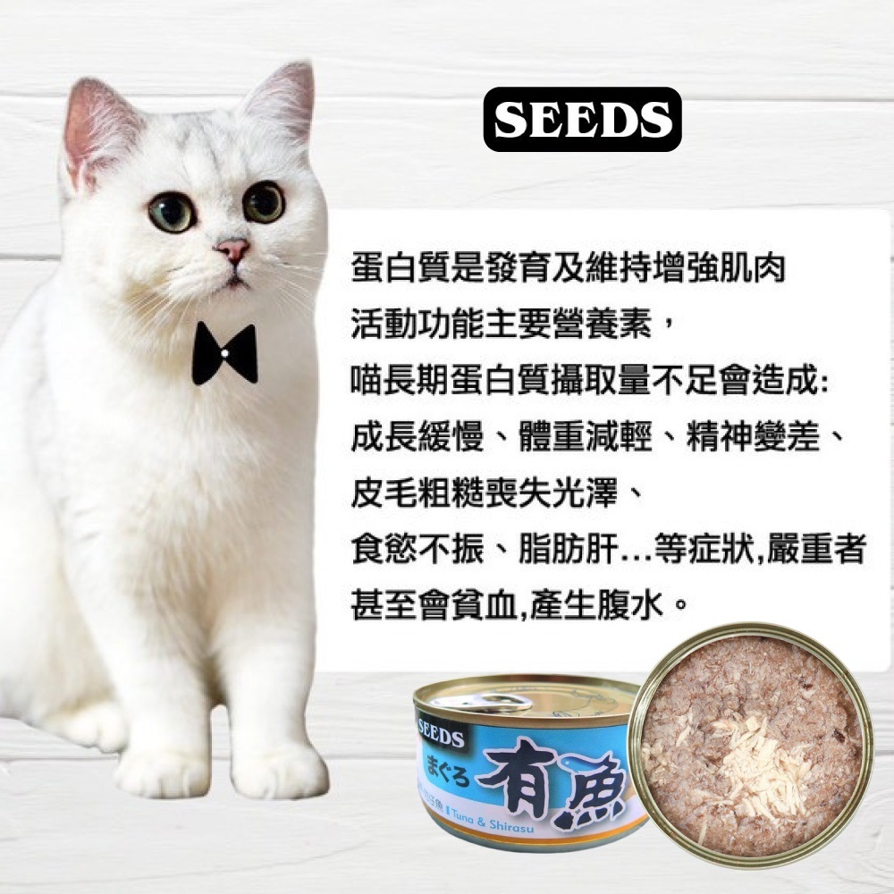 SEEDS惜時 有魚貓餐罐【CW0033】