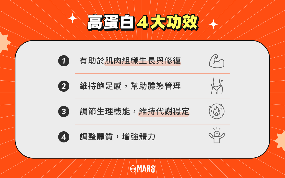 高蛋白 4 大功效