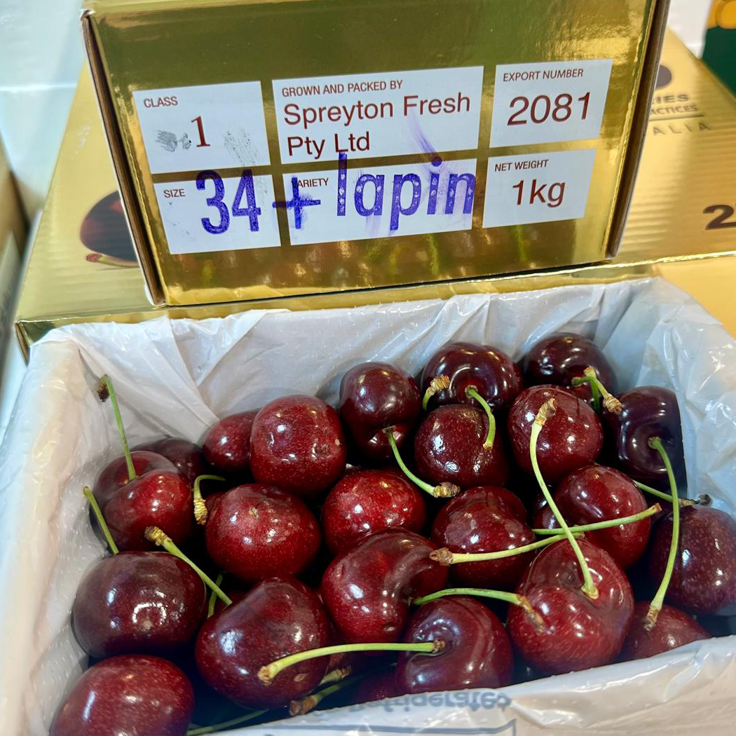 塔斯曼尼亞 Big Red 車厘子 34+ [1 KG 盒裝]