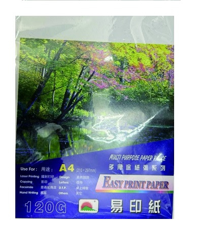 ( SPECIAL OFFER  )EASYPRINT  120gsm  MULTI-PURPOSE PAPER  A4-60 SHT. 506600030