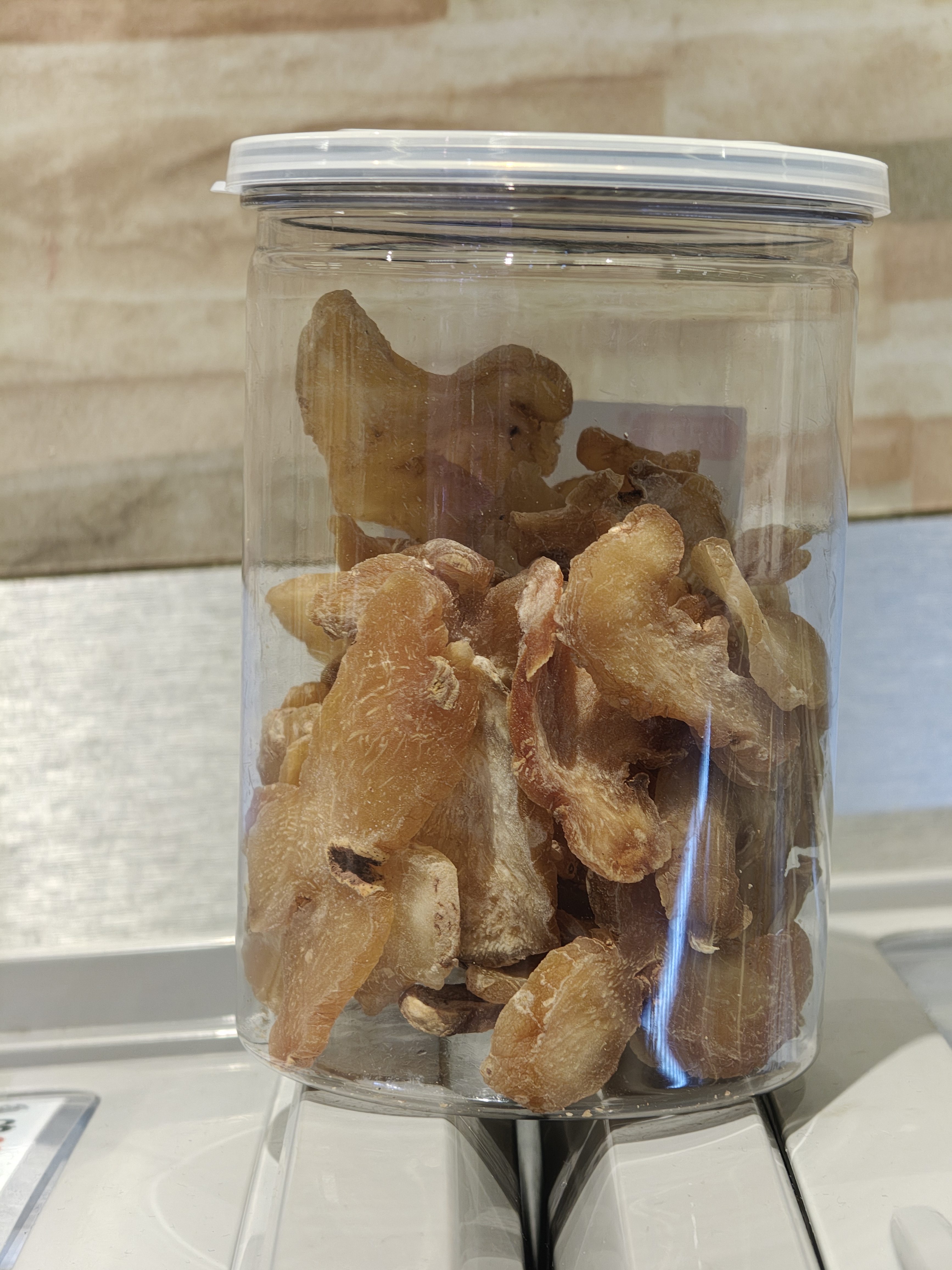 0116ZP62-珍品李家ZP-海竹頭600 A62