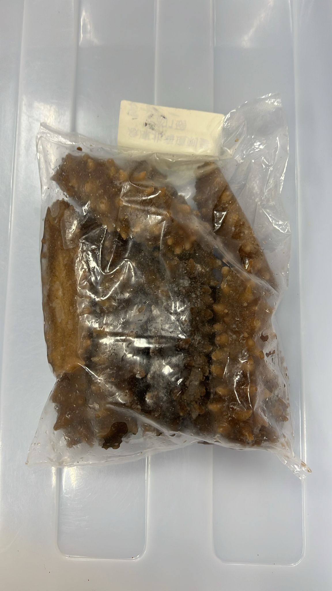 0116ZP13-珍品李家ZP-[急凍北海道刺參 約1磅] [買一送一] A13C