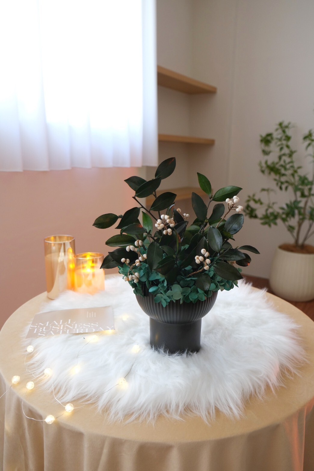 日本不凋山茶花盆栽 L