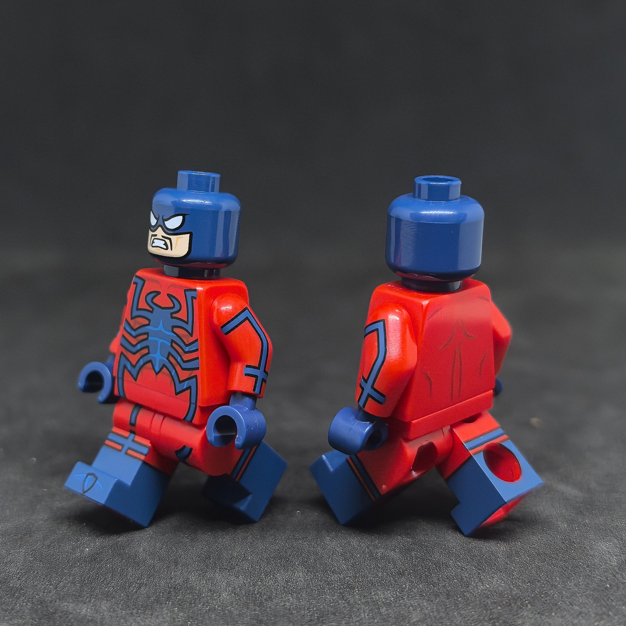 【Earthly brick】狼蛛